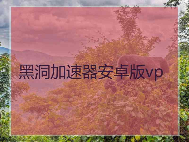 黑洞加速器安卓版vp