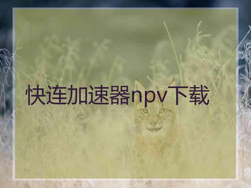 快连加速器npv下载