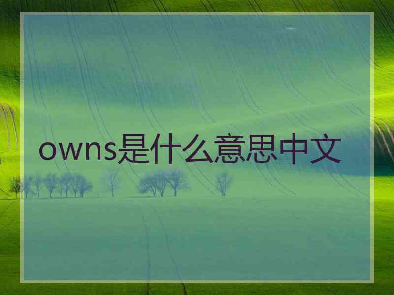 owns是什么意思中文