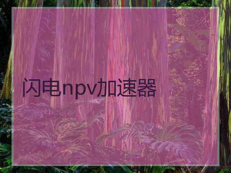 闪电npv加速器