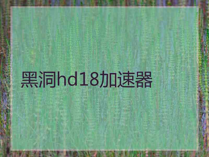 黑洞hd18加速器