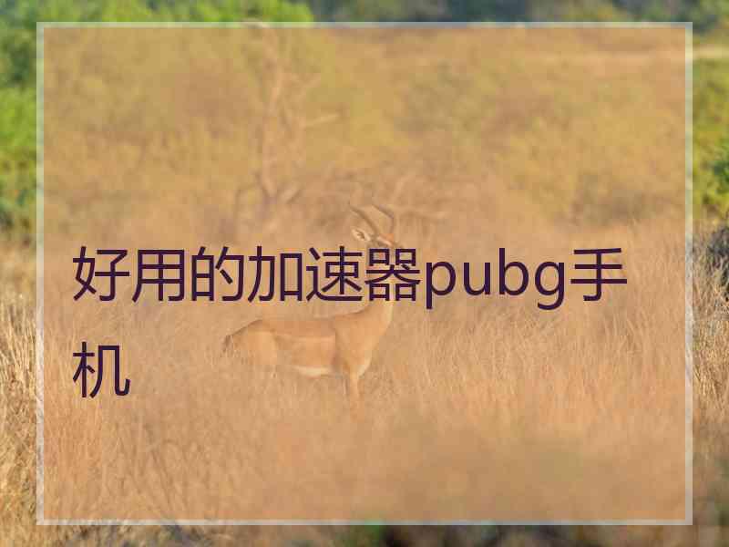 好用的加速器pubg手机