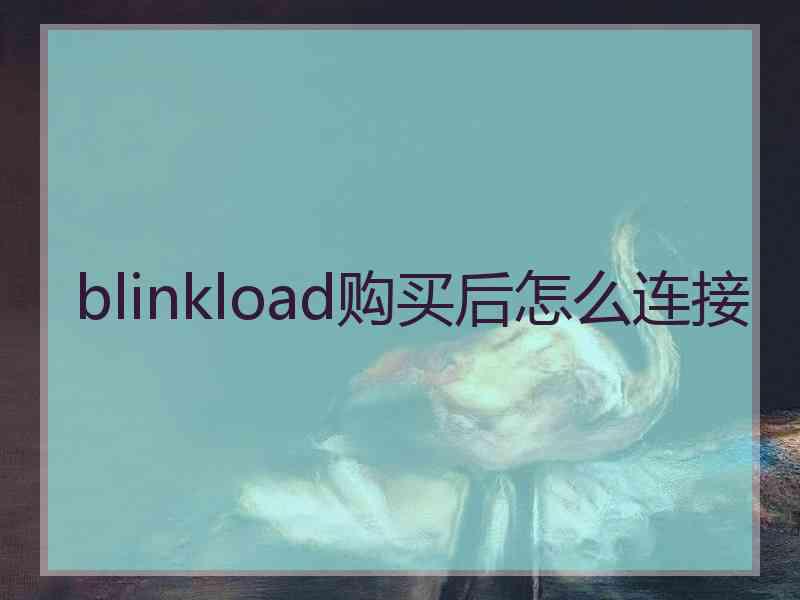 blinkload购买后怎么连接