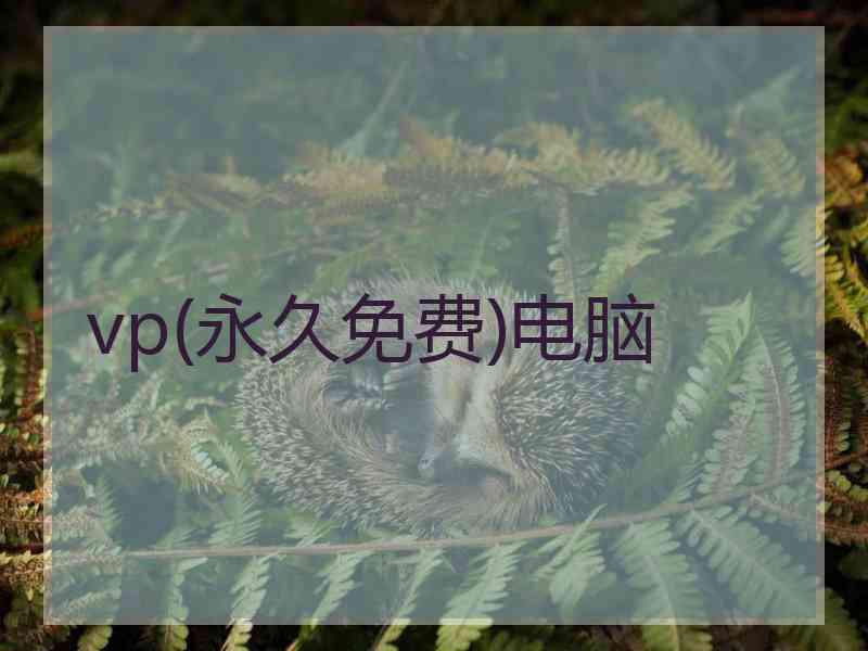 vp(永久免费)电脑