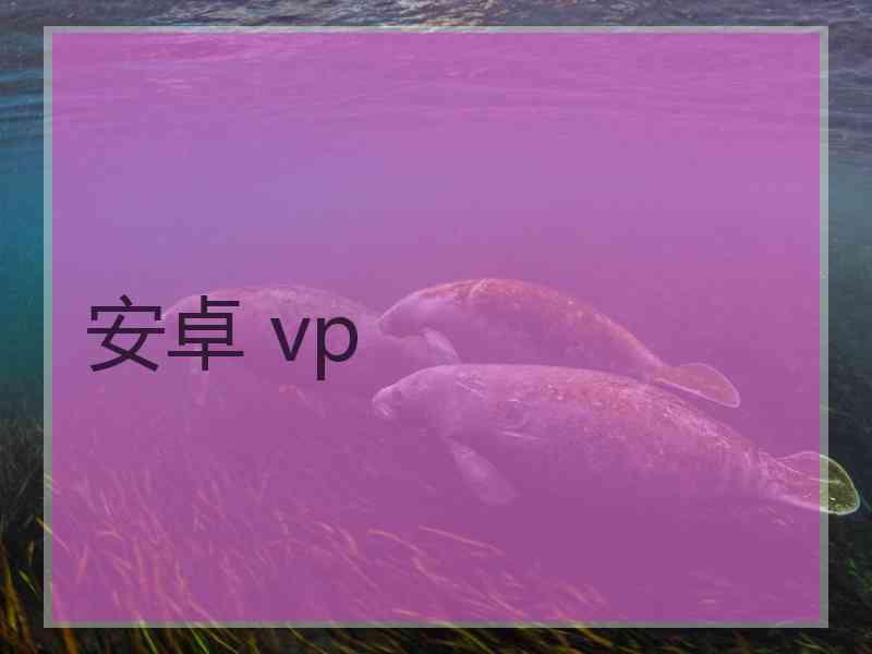 安卓 vp