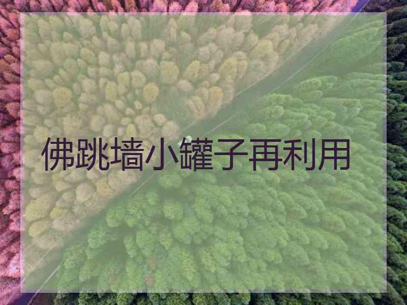 佛跳墙小罐子再利用