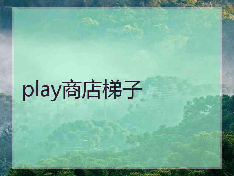 play商店梯子