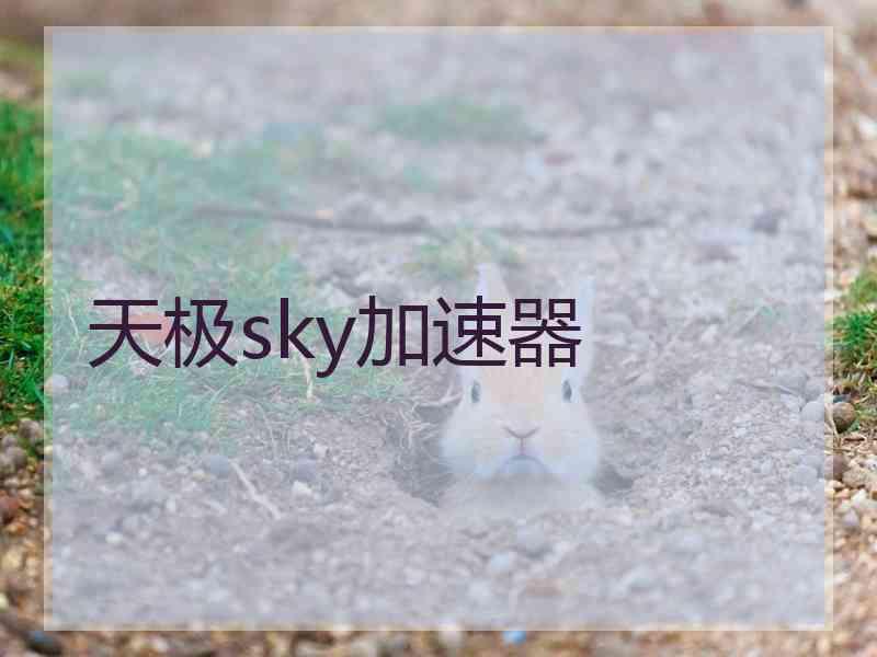 天极sky加速器