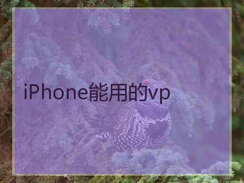 iPhone能用的vp