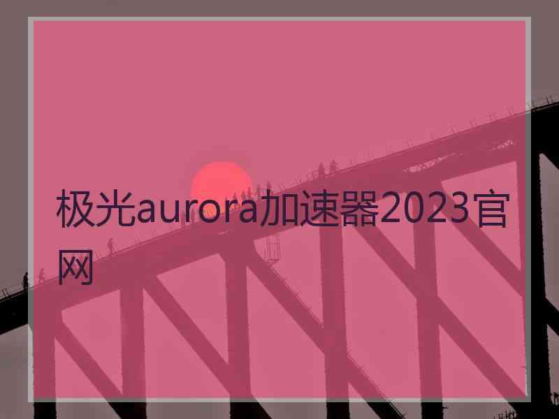 极光aurora加速器2023官网