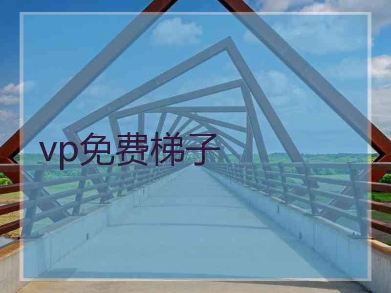 vp免费梯子