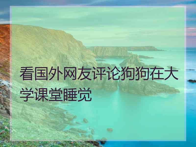 看国外网友评论狗狗在大学课堂睡觉