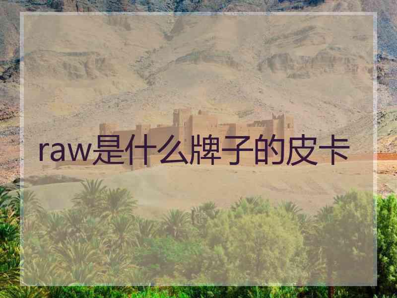 raw是什么牌子的皮卡