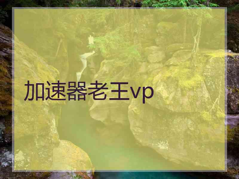 加速器老王vp