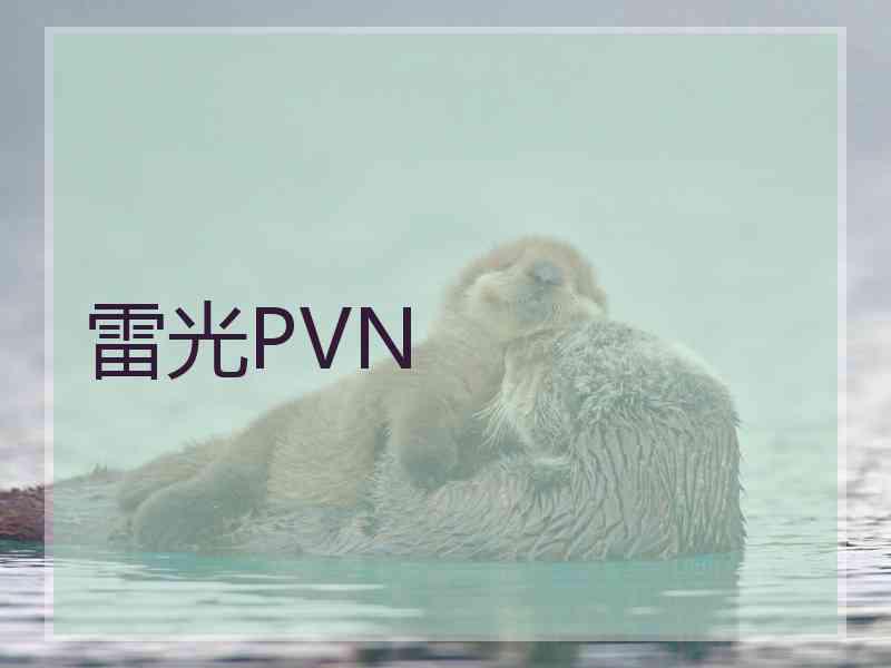 雷光PVN