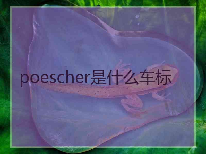 poescher是什么车标