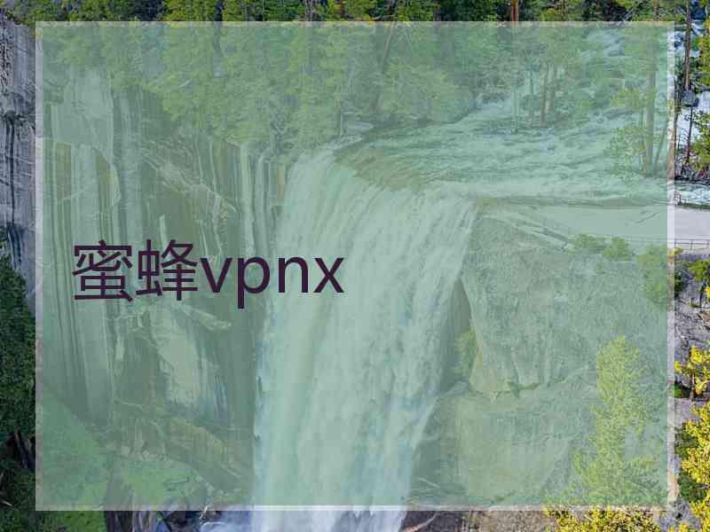 蜜蜂vpnx