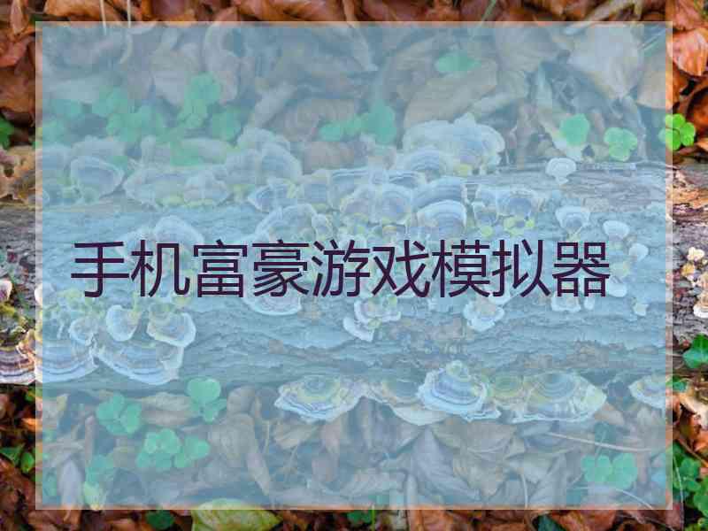 手机富豪游戏模拟器