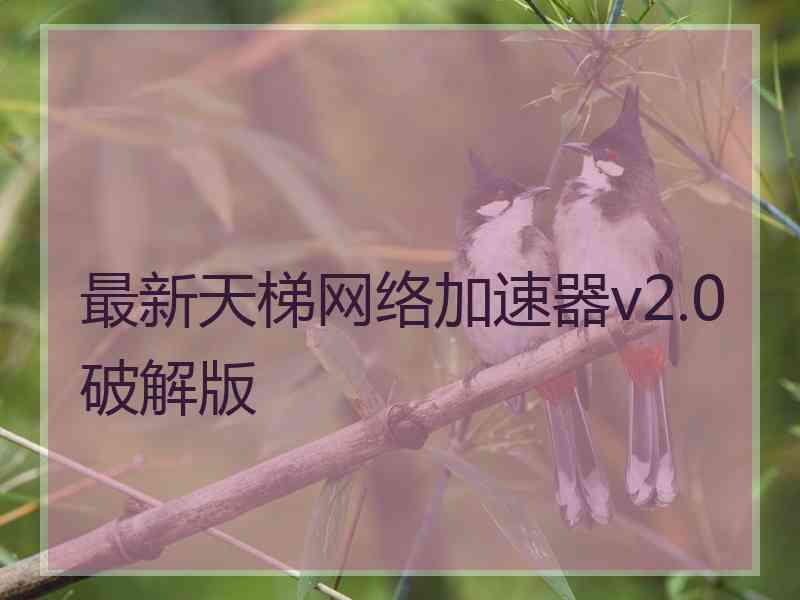 最新天梯网络加速器v2.0破解版