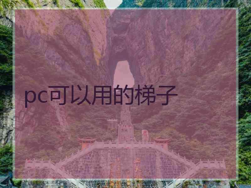 pc可以用的梯子