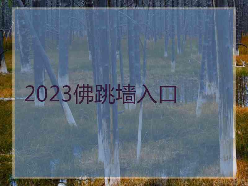 2023佛跳墙入口