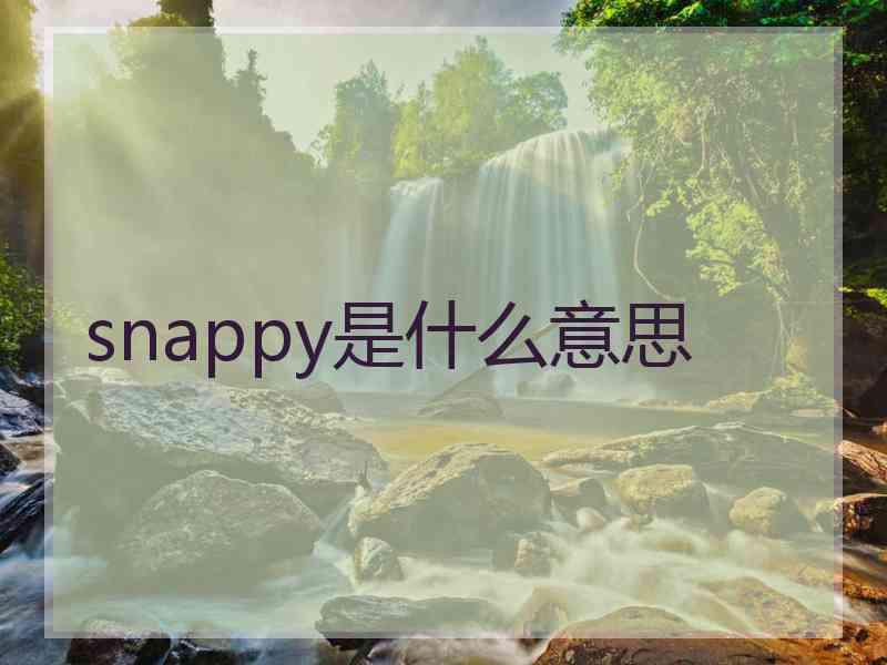 snappy是什么意思