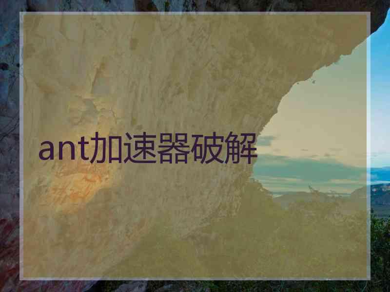 ant加速器破解