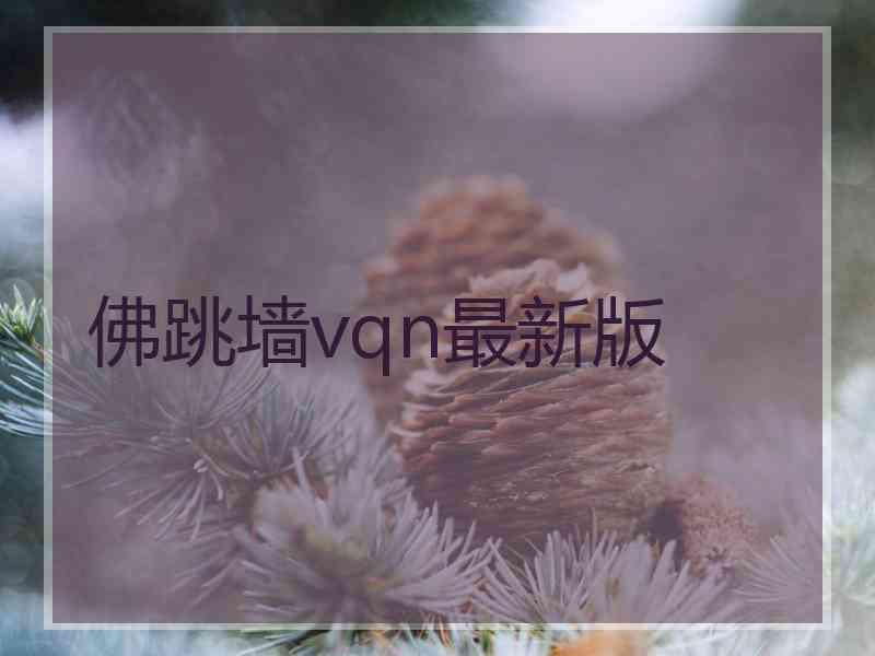 佛跳墙vqn最新版