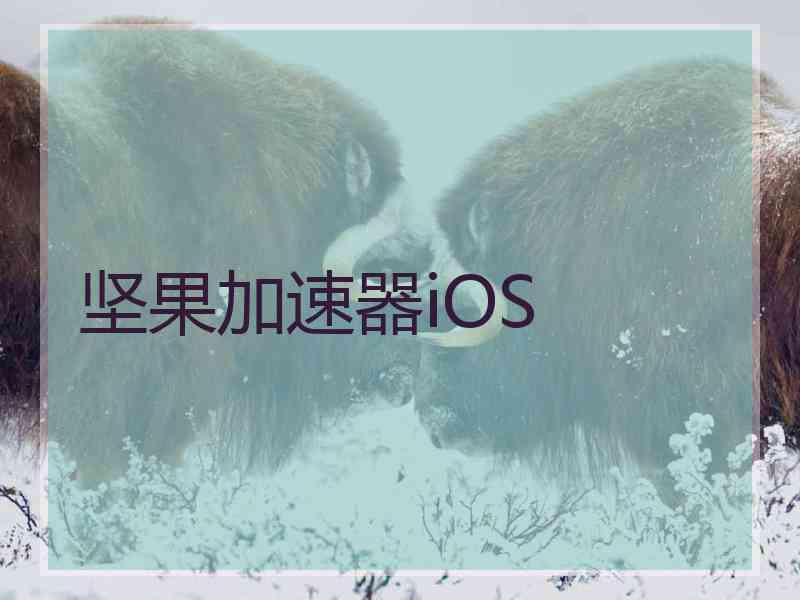 坚果加速器iOS