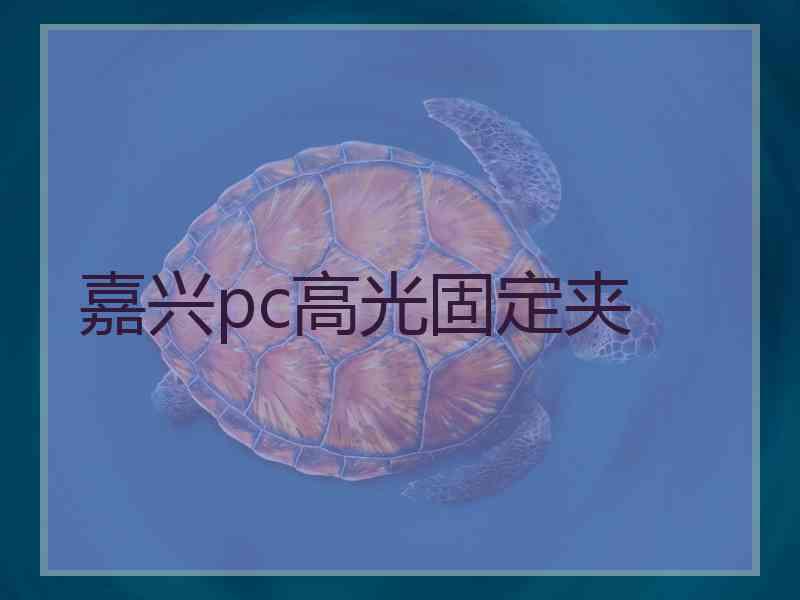 嘉兴pc高光固定夹