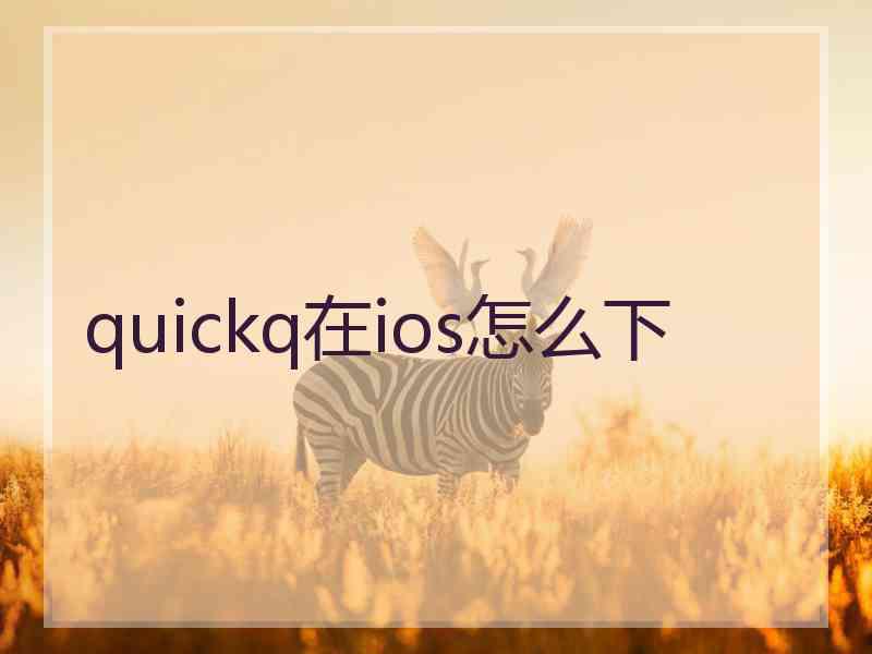 quickq在ios怎么下