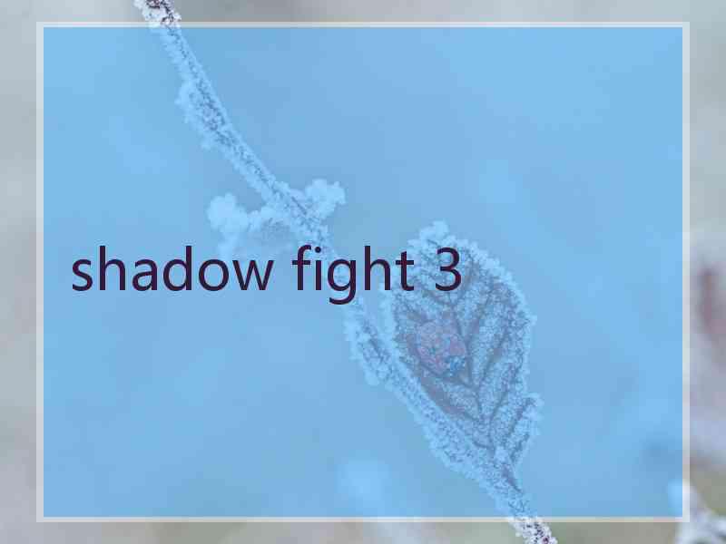 shadow fight 3