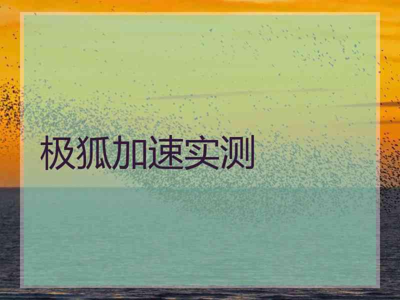 极狐加速实测