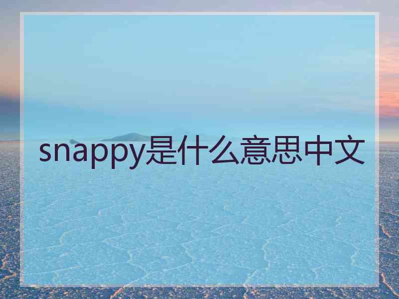 snappy是什么意思中文