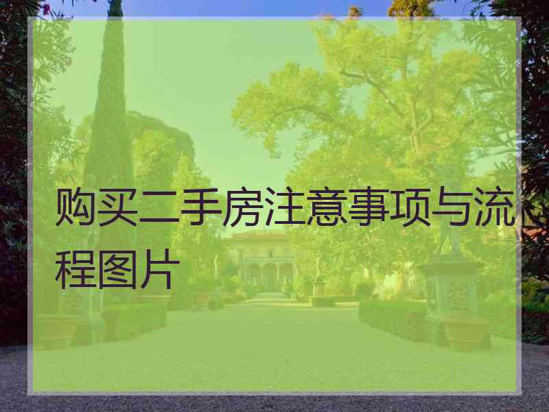 购买二手房注意事项与流程图片