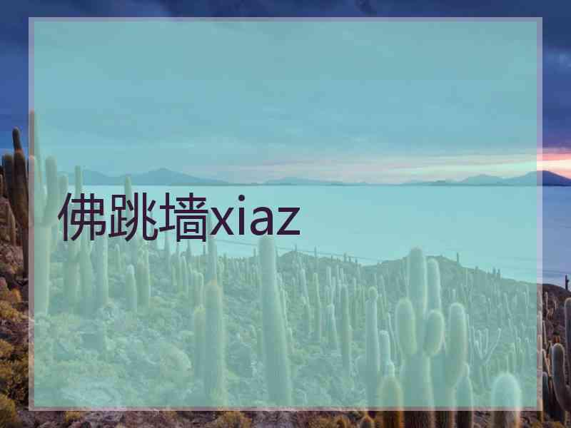 佛跳墙xiaz