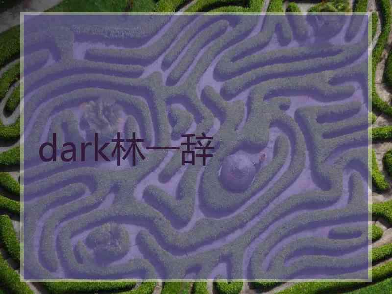 dark林一辞