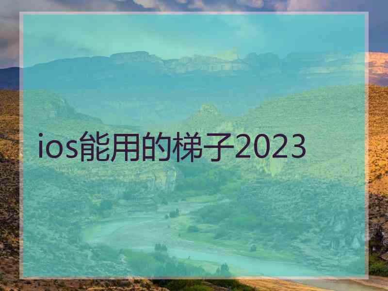 ios能用的梯子2023