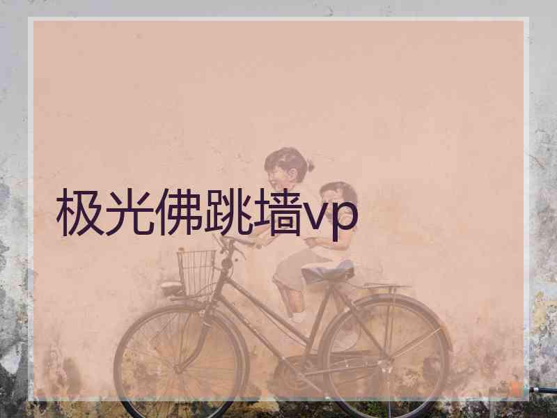 极光佛跳墙vp