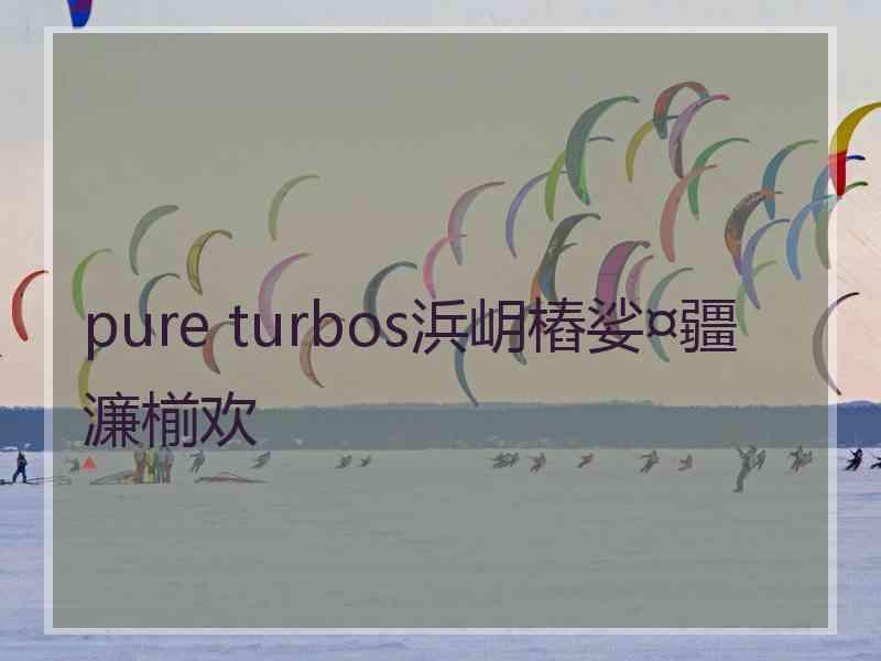 pure turbos浜岄樁娑¤疆濂椾欢