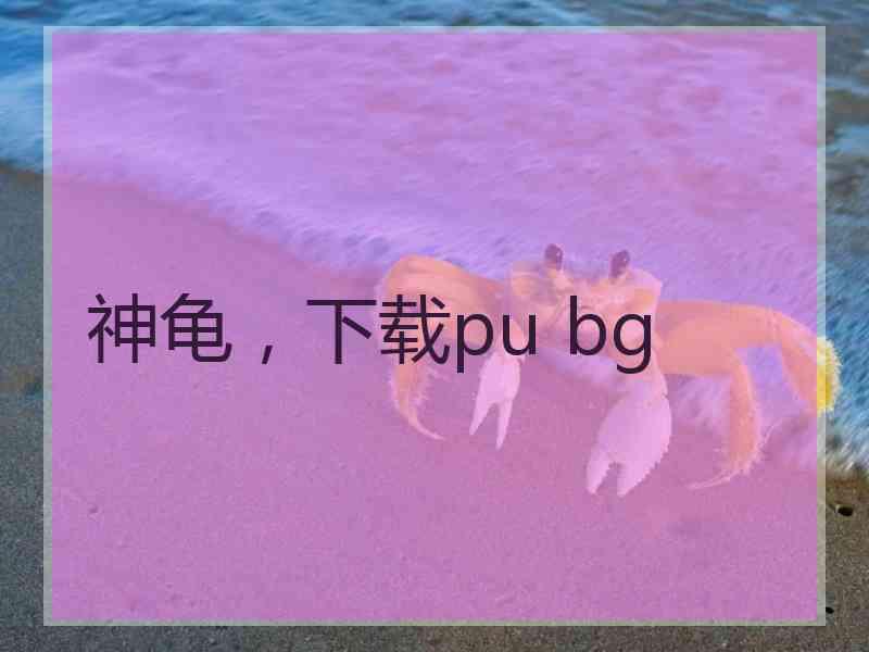 神龟，下载pu bg