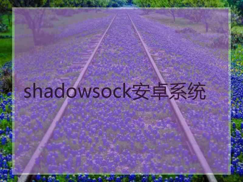 shadowsock安卓系统