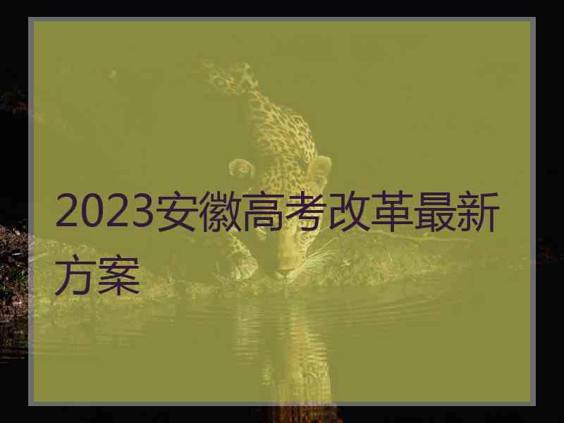 2023安徽高考改革最新方案