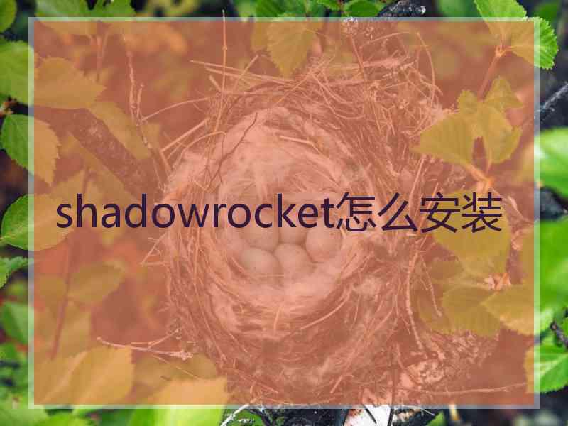 shadowrocket怎么安装