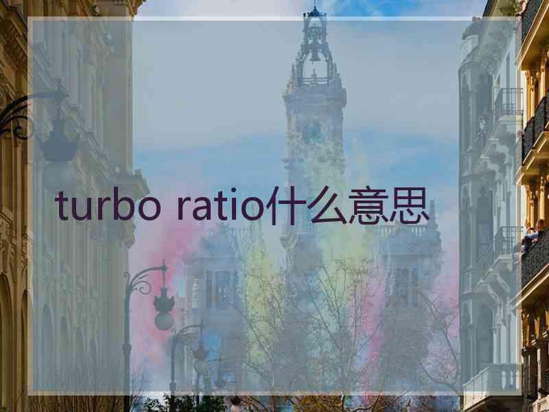 turbo ratio什么意思