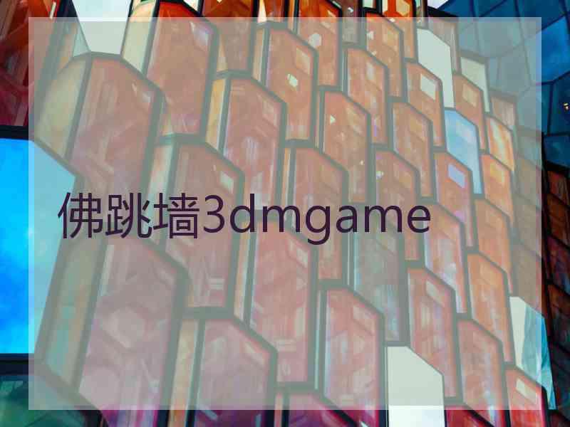 佛跳墙3dmgame