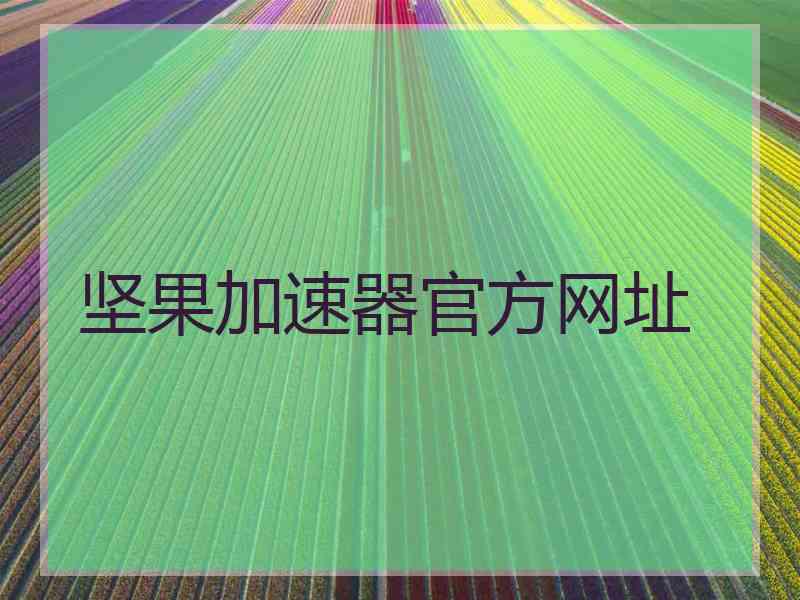 坚果加速器官方网址