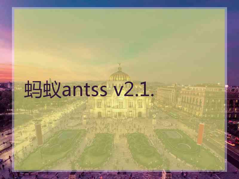 蚂蚁antss v2.1.