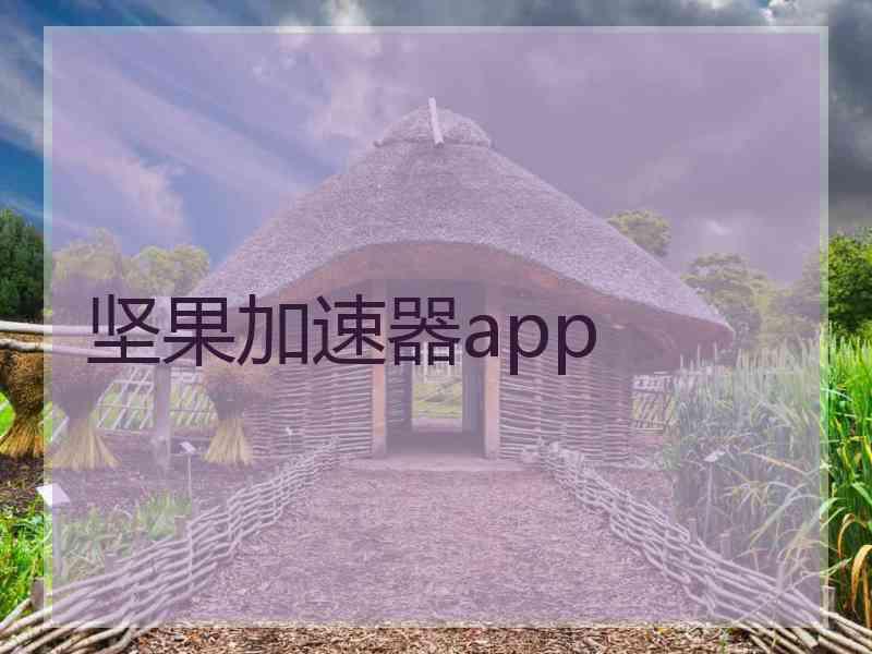 坚果加速器app