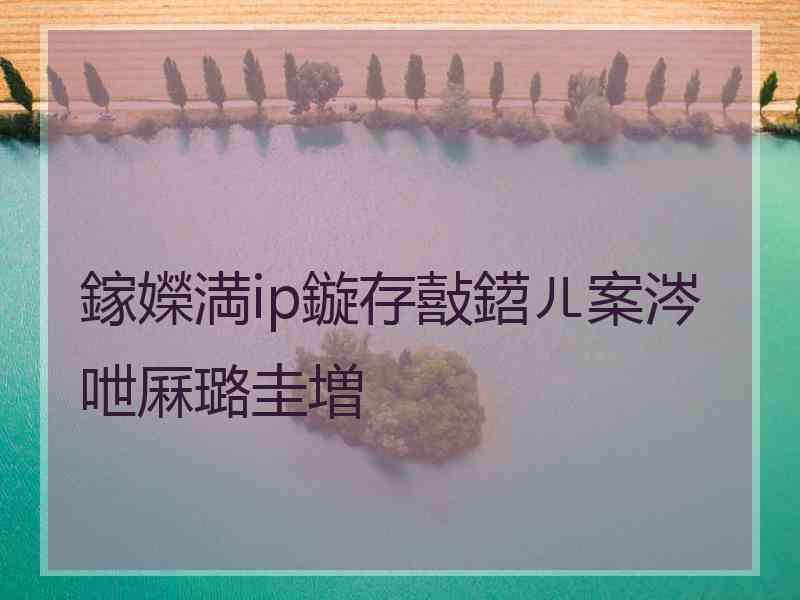 鎵嬫満ip鏇存敼鍣ㄦ案涔呭厤璐圭増